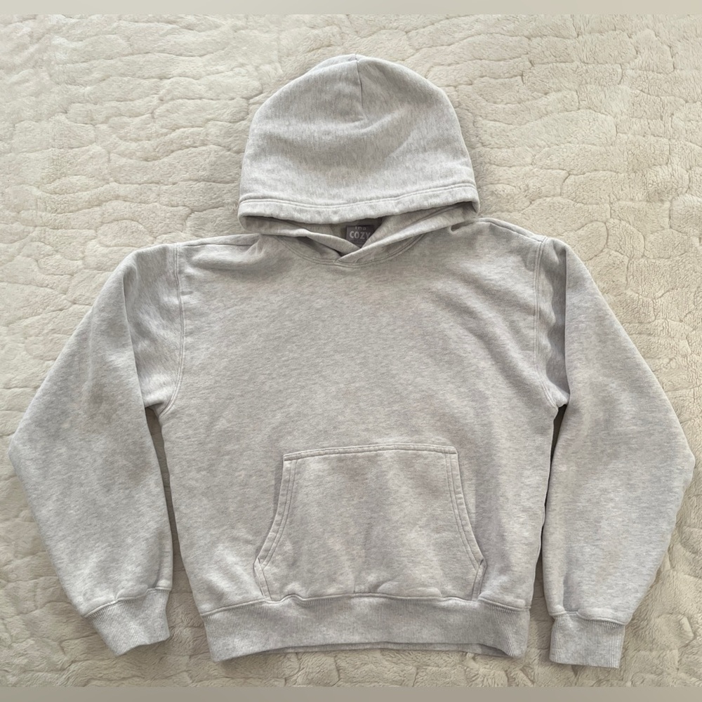 Aritzia Light Heather Gray Hoodie